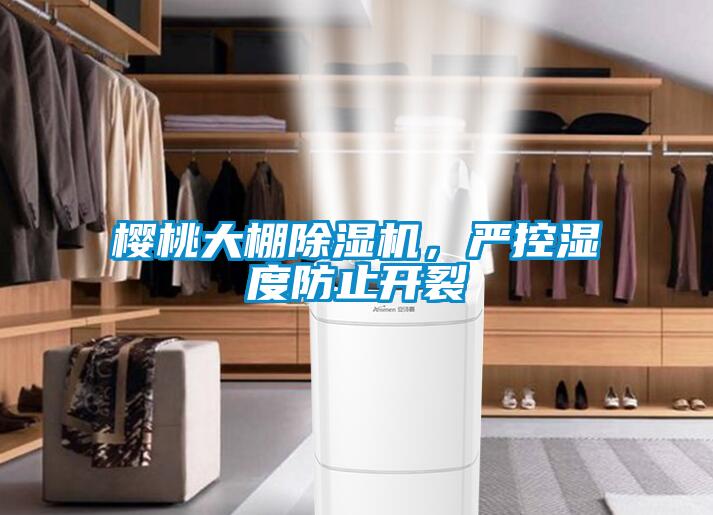 櫻桃大棚除濕機(jī)，嚴(yán)控濕度防止開裂