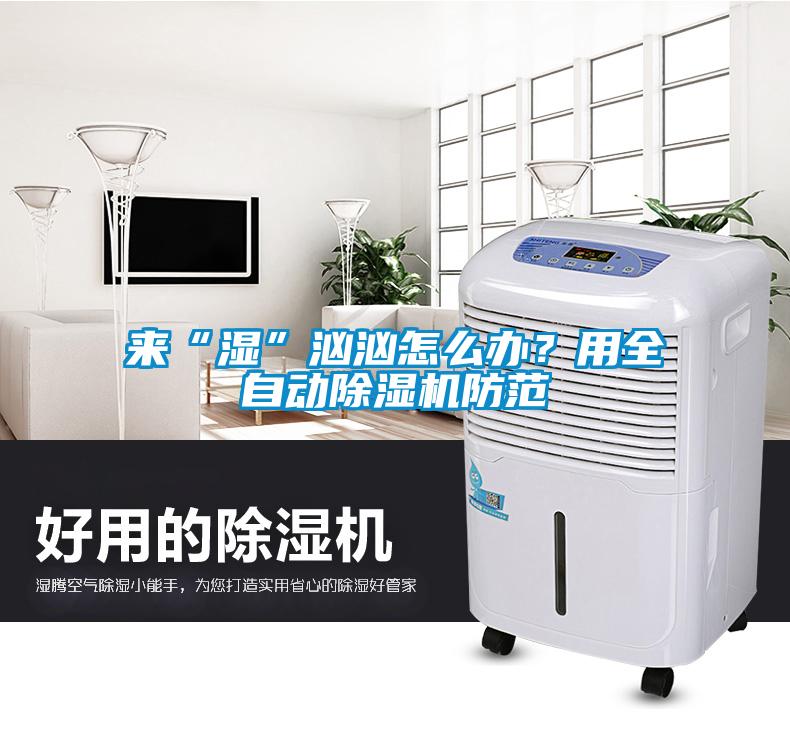 來“濕”洶洶怎么辦？用全自動除濕機防范