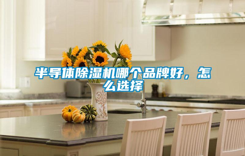 半導體除濕機哪個品牌好，怎么選擇