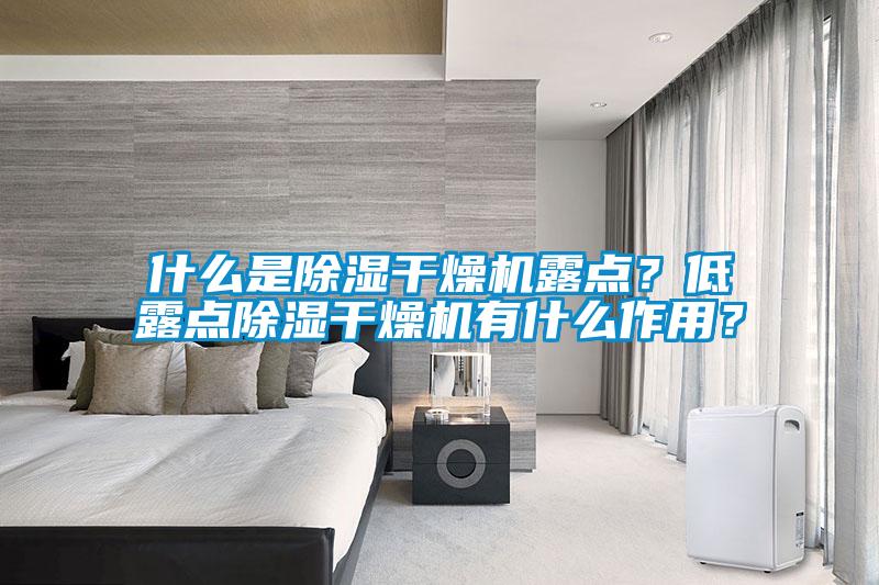 什么是除濕干燥機露點？低露點除濕干燥機有什么作用？