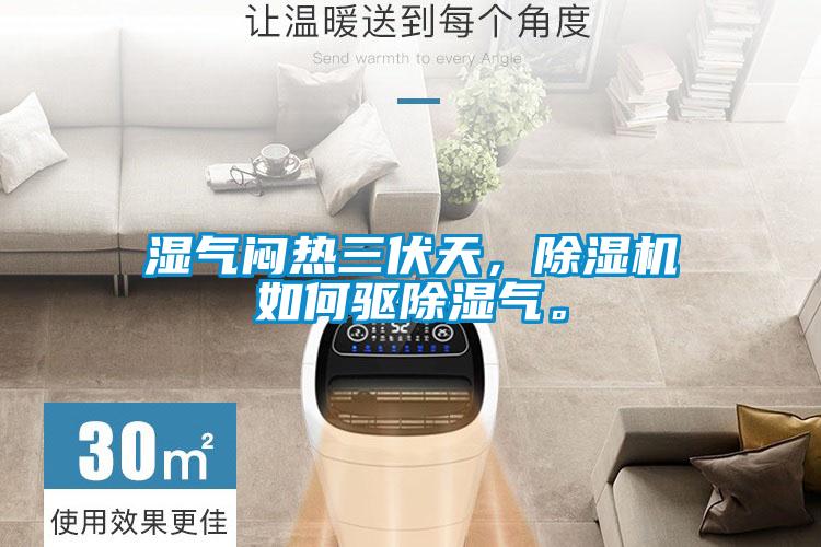 濕氣悶熱三伏天，除濕機(jī)如何驅(qū)除濕氣。