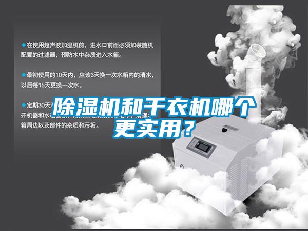 除濕機和干衣機哪個更實用？