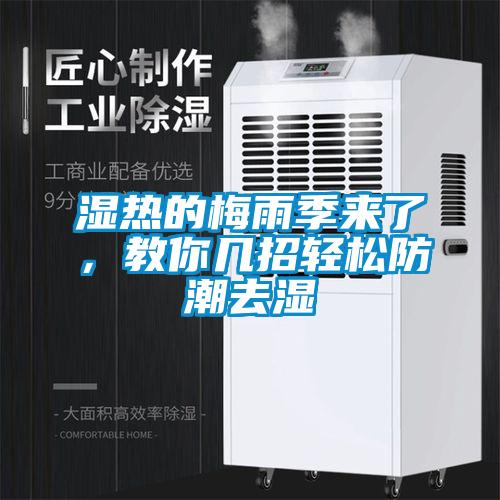 濕熱的梅雨季來了，教你幾招輕松防潮去濕