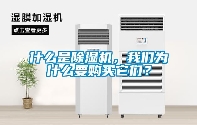 什么是除濕機(jī)，我們?yōu)槭裁匆徺I它們？