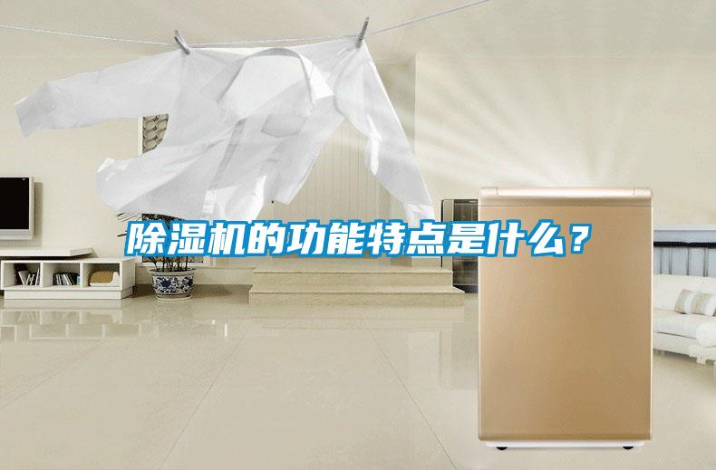 除濕機(jī)的功能特點(diǎn)是什么？