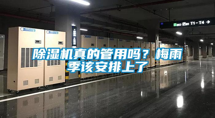 除濕機真的管用嗎？梅雨季該安排上了