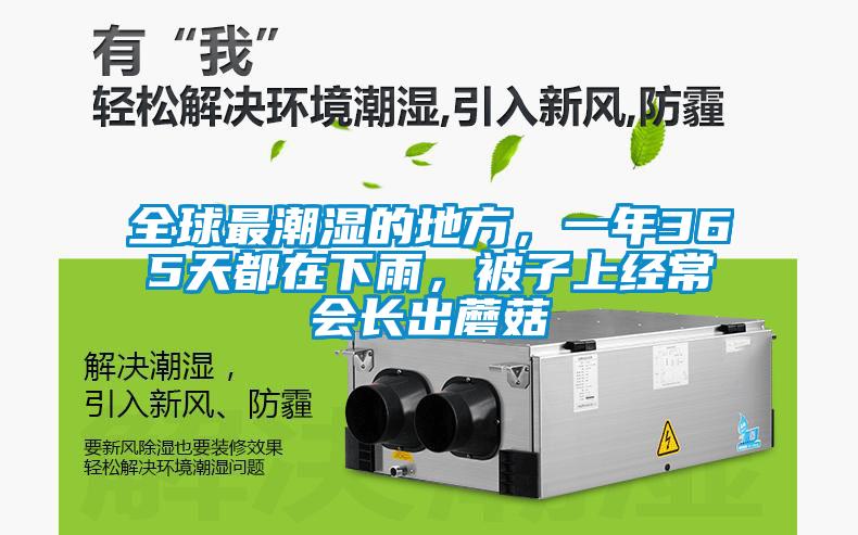 全球最潮濕的地方，一年365天都在下雨，被子上經(jīng)常會(huì)長出蘑菇