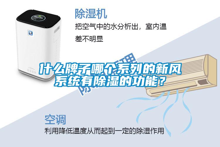 什么牌子哪個系列的新風(fēng)系統(tǒng)有除濕的功能？