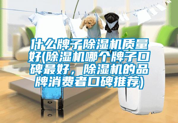 什么牌子除濕機質量好(除濕機哪個牌子口碑最好，除濕機的品牌消費者口碑推薦)