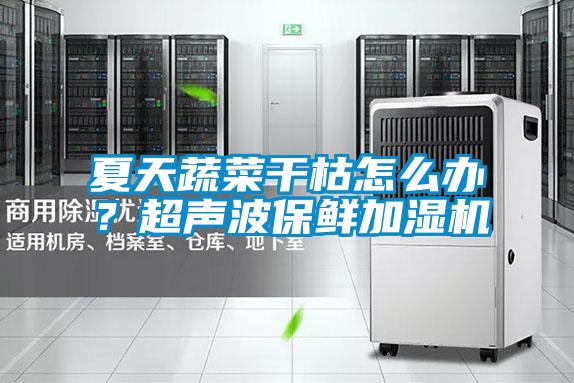 夏天蔬菜干枯怎么辦？超聲波保鮮加濕機