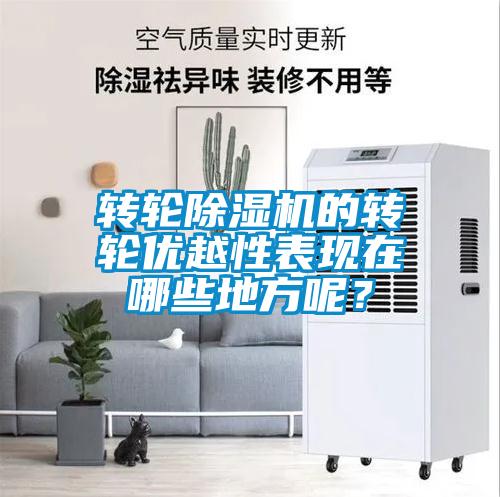 轉輪除濕機的轉輪優越性表現在哪些地方呢？
