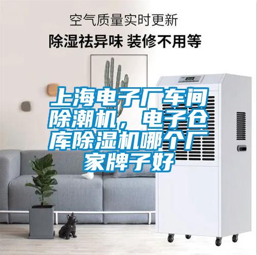 上海電子廠車間除潮機(jī)，電子倉庫除濕機(jī)哪個廠家牌子好