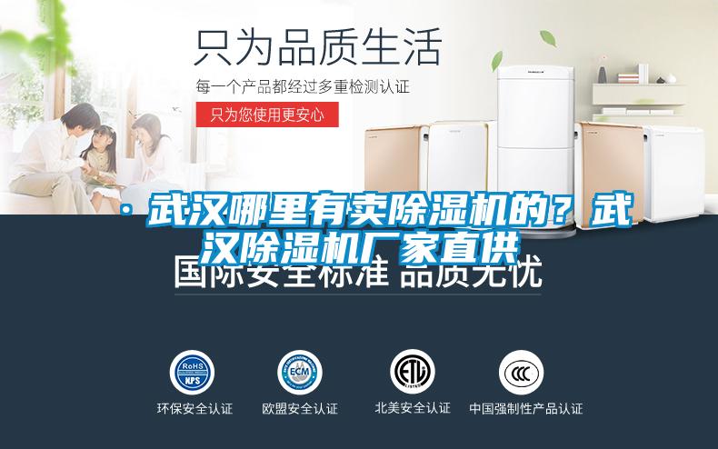 ·武漢哪里有賣除濕機(jī)的？武漢除濕機(jī)廠家直供