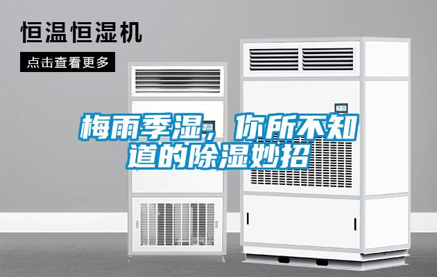 梅雨季濕，你所不知道的除濕妙招