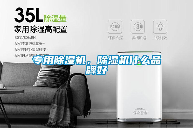 專用除濕機，除濕機什么品牌好