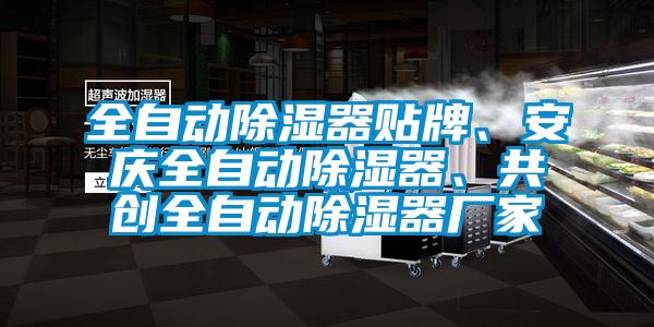 全自動除濕器貼牌、安慶全自動除濕器、共創(chuàng)全自動除濕器廠家