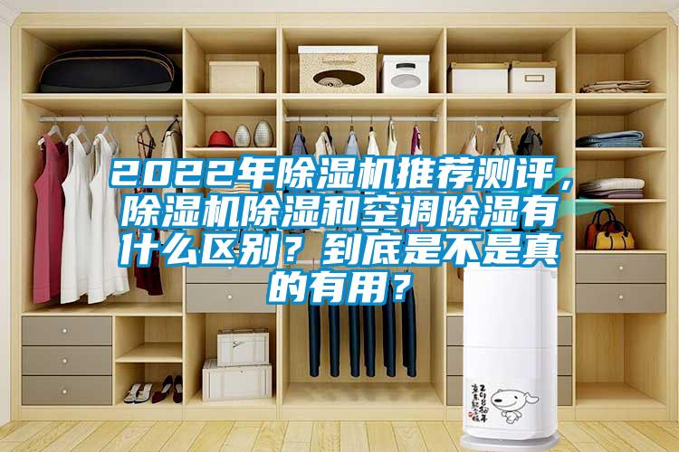 2022年除濕機推薦測評，除濕機除濕和空調除濕有什么區別？到底是不是真的有用？