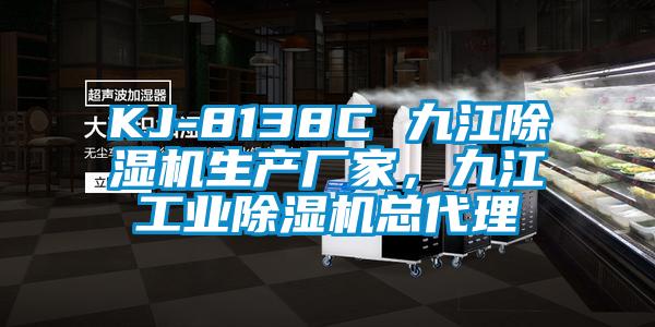 KJ-8138C 九江除濕機生產(chǎn)廠家，九江工業(yè)除濕機總代理