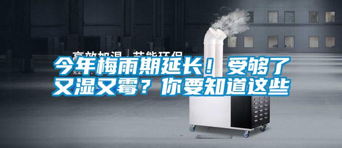 今年梅雨期延長！受夠了又濕又霉？你要知道這些