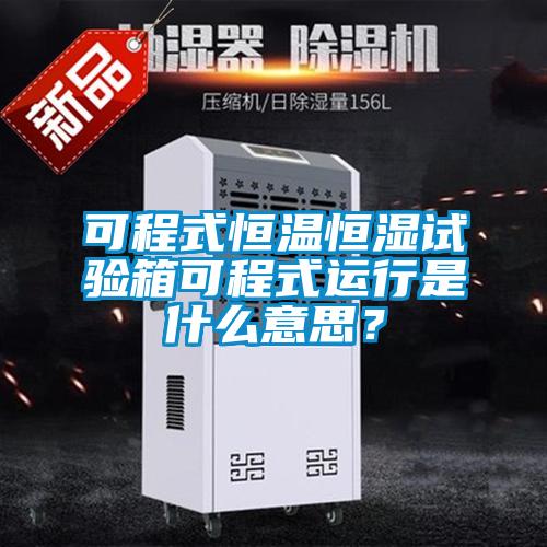 可程式恒溫恒濕試驗箱可程式運行是什么意思？