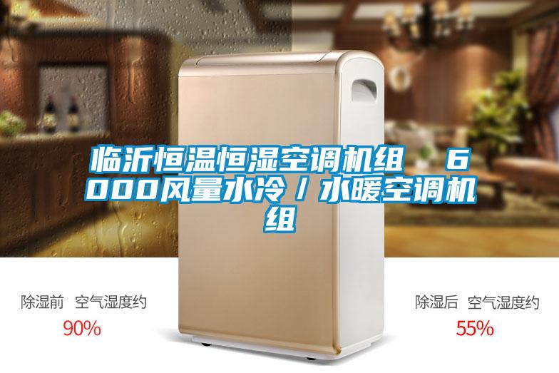 臨沂恒溫恒濕空調(diào)機組  6000風量水冷／水暖空調(diào)機組