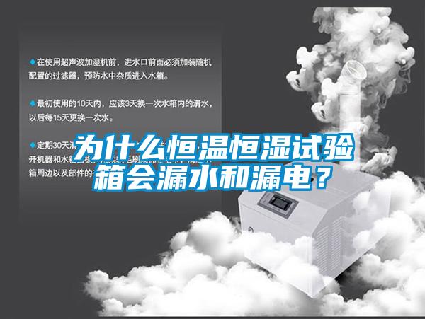 為什么恒溫恒濕試驗(yàn)箱會(huì)漏水和漏電？