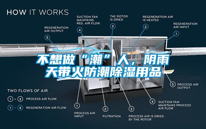 不想做“潮”人，陰雨天帶火防潮除濕用品