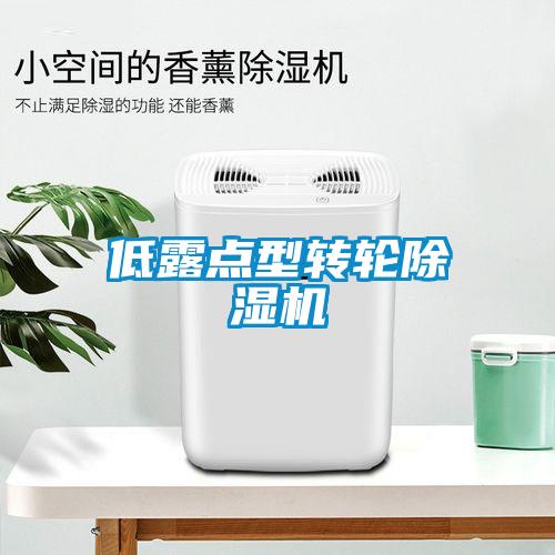 低露點型轉(zhuǎn)輪除濕機(jī)