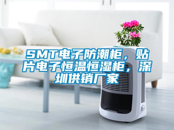 SMT電子防潮柜，貼片電子恒溫恒濕柜，深圳供銷廠家