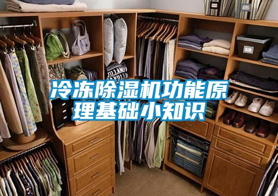 冷凍除濕機(jī)功能原理基礎(chǔ)小知識(shí)