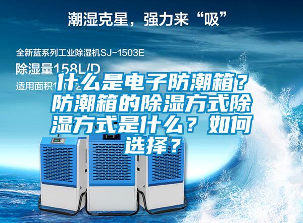什么是電子防潮箱？防潮箱的除濕方式除濕方式是什么？如何選擇？