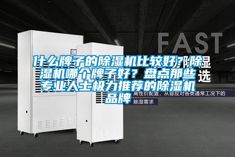 什么牌子的除濕機比較好？除濕機哪個牌子好？盤點那些專業(yè)人士極力推薦的除濕機品牌