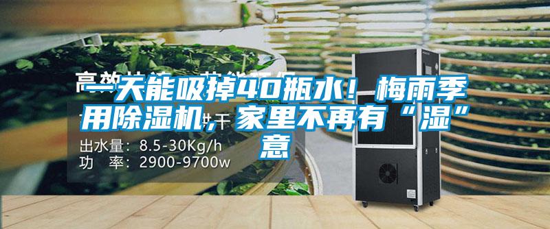 一天能吸掉40瓶水！梅雨季用除濕機，家里不再有“濕”意