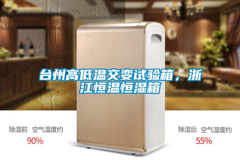 臺州高低溫交變試驗(yàn)箱，浙江恒溫恒濕箱