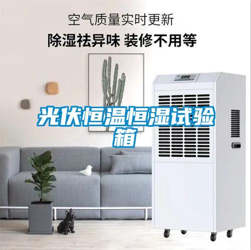 光伏恒溫恒濕試驗(yàn)箱