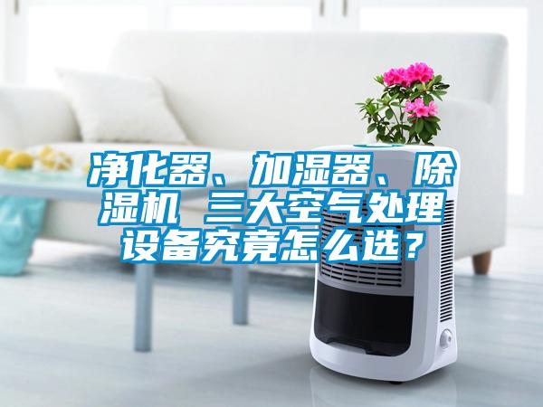 凈化器、加濕器、除濕機(jī) 三大空氣處理設(shè)備究竟怎么選？