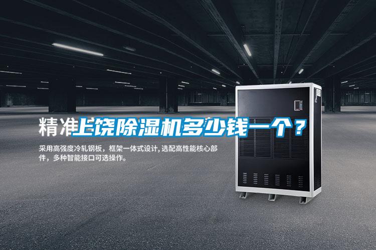 上饒除濕機(jī)多少錢(qián)一個(gè)？