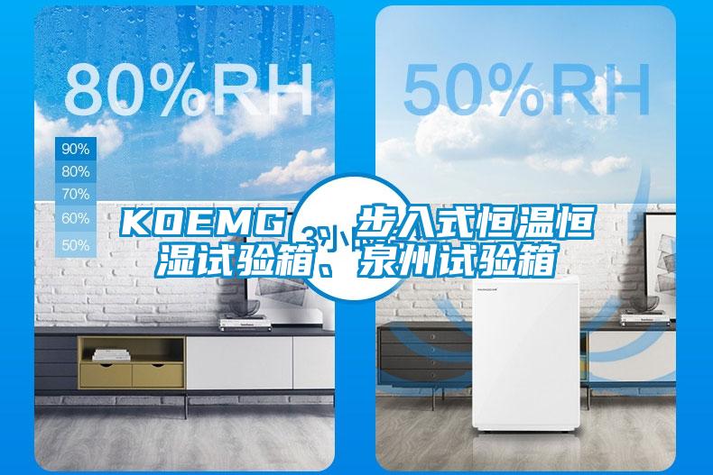 KOEMG 、步入式恒溫恒濕試驗箱、泉州試驗箱