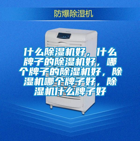 什么除濕機好，什么牌子的除濕機好，哪個牌子的除濕機好，除濕機哪個牌子好，除濕機什么牌子好