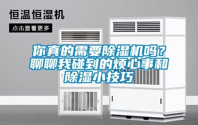你真的需要除濕機(jī)嗎？聊聊我碰到的煩心事和除濕小技巧