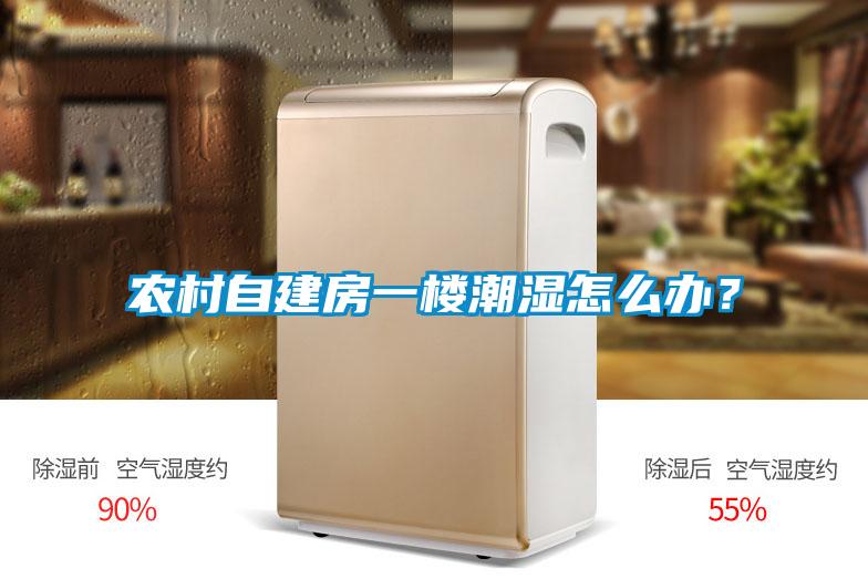 農(nóng)村自建房一樓潮濕怎么辦？