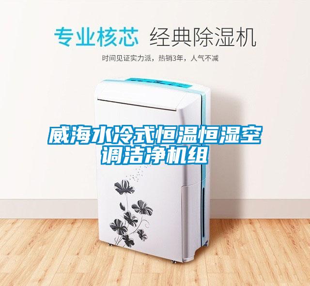 威海水冷式恒溫恒濕空調(diào)潔凈機組