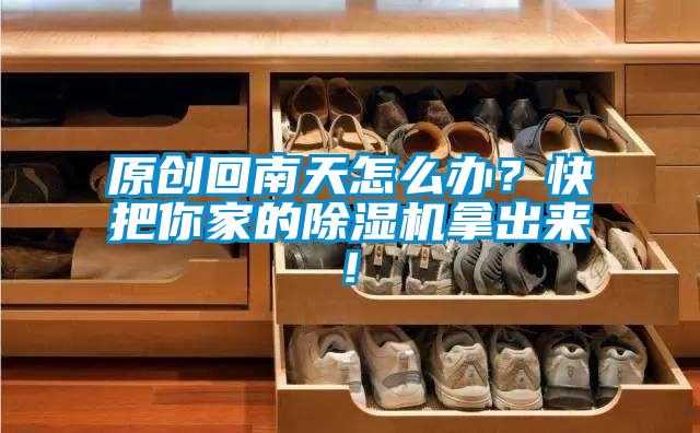 原創回南天怎么辦？快把你家的除濕機拿出來!