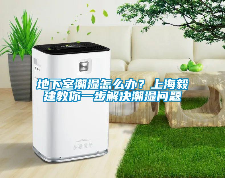 地下室潮濕怎么辦？上海毅建教你一步解決潮濕問題