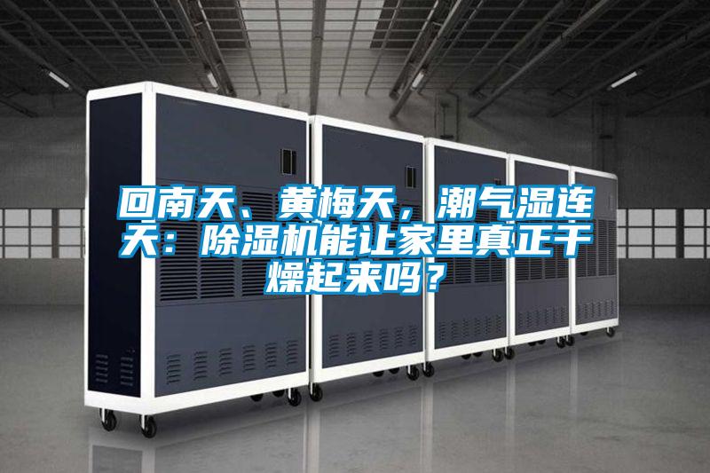 回南天、黃梅天，潮氣濕連天：除濕機(jī)能讓家里真正干燥起來嗎？