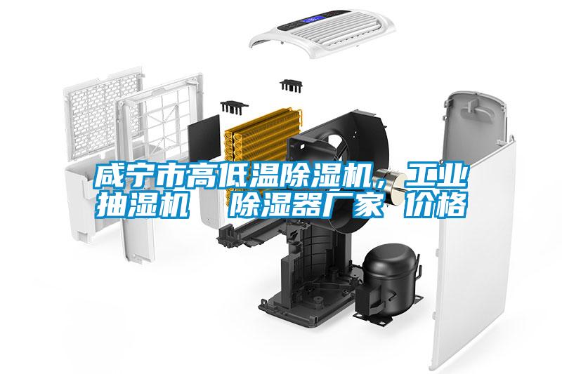 咸寧市高低溫除濕機，工業抽濕機  除濕器廠家 價格