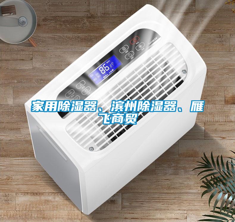 家用除濕器、濱州除濕器、雁飛商貿