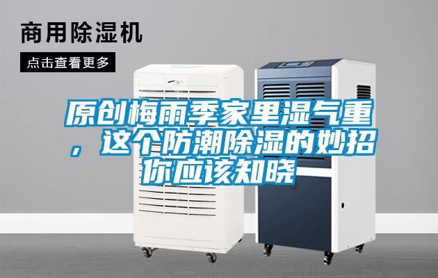原創梅雨季家里濕氣重，這個防潮除濕的妙招你應該知曉