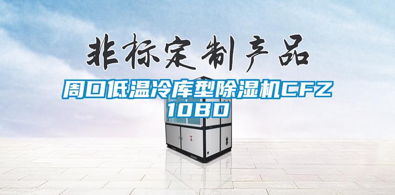 周口低溫冷庫(kù)型除濕機(jī)CFZ10BD