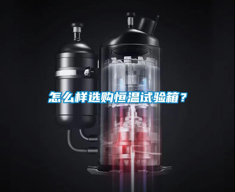 怎么樣選購恒溫試驗箱？